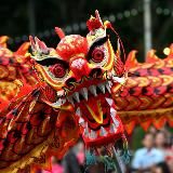 Голубъ - Владивосток