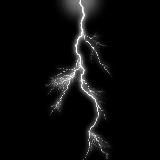 Воинский союз Паладин