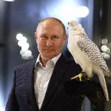 Вести 📈📊 Экономика