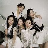 𝑹𝑬𝑫 𝑽𝑬𝑳𝑽𝑬𝑻