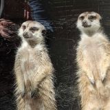 Общение и приватка в2