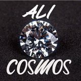 AliCosmos