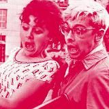 Звоните Гайдаю!