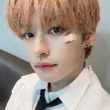 .𖥔 ݁ ˖𝑳𝒐𝒗𝒊𝒐𝒏.𝑺𝒕𝒐𝒓𝒆˖ ݁ 𖥔.