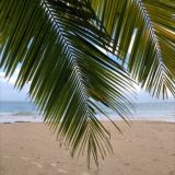 Пхукет Трэвел