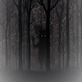 ТЕМНЫЙ ЛЕС 😈