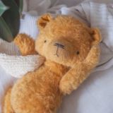 annapalto_teddy