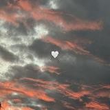 ✿𝔟𝔢𝔞𝔲𝔱𝔦𝔣𝔲𝔩 𝔭𝔦𝔠𝔱𝔲𝔯𝔢✿