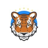 SkyTiger Official Group