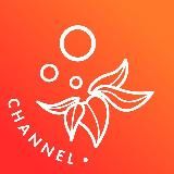 ELF BAR UKRAINE Official🇺🇦