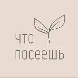 ЧТО ПОСЕЕШЬ маркет