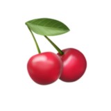 VISHENKA🍒