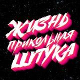 Жизнь прикольная штука