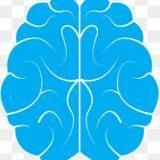 Букич (психология, бизнес)