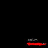 SPOT OЯ1UM