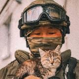 Котятишны ньюZ