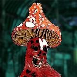 𝕹𝖊𝖜 𝕬𝖌𝖊𝖙𝖆𝖗𝖉