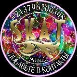 АНТИШВЫР SKAT SHOPS