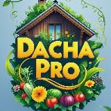 Дача Про Сад и огород