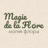 МАГИЯ ФЛОРЫ
