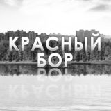 Красный Бор 1