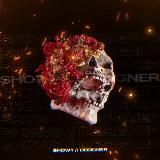 Showy Design | Portfolio