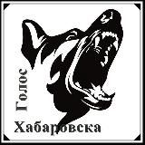 Голос Хабаровска💚🕊💙