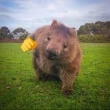 Не унывайте пацаны 🪿