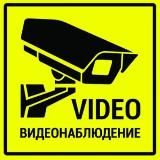 Котики и приколЬные видосики