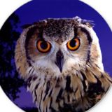 Всё в порядке! | Психолог Рагозин