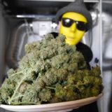 Космополит Дж.