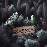 Нарния • мы переехали • Батуми