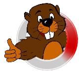 Быть Бобру!