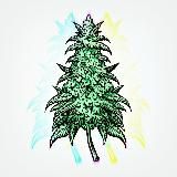 Трава зеленіє 🌱 🇺🇦