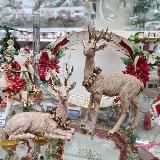 _with_love_for_home_