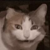 smeisya zaebal❄️