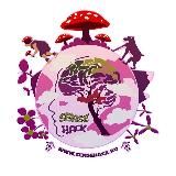 Sense Hack | Грибной микродозинг