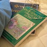 Анонимка Theloranss