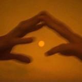 монологи о нас