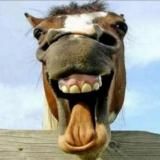 Лучшие Приколы