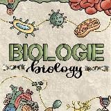 Биология ЕГЭ💡📚