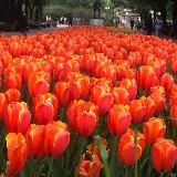 Елена Чмутова 🌈 Мечты Сбываются 🌈