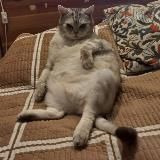 ваня творит | фанклуб персика бога мира