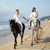 😎 🌴🍃🌺 😄😄😄BAXTLİ DO'STLAR😄😄😄🌴🍂༿🌺ཱྀ 🚩🍂🌴