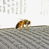 ЗАМЕТКИ ПАСТОРА