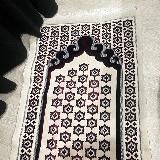 𝐏𝐎𝐊𝐎𝐘 𝐃𝐔𝐒𝐇𝐈❤️🩹