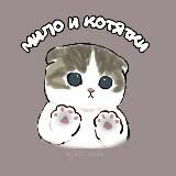 мило и котятки