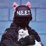 Архив Фуллов