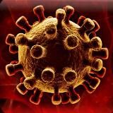 ХАНТАВИРУС | XANTAVIRUS