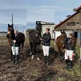 💗что-то на конном💗